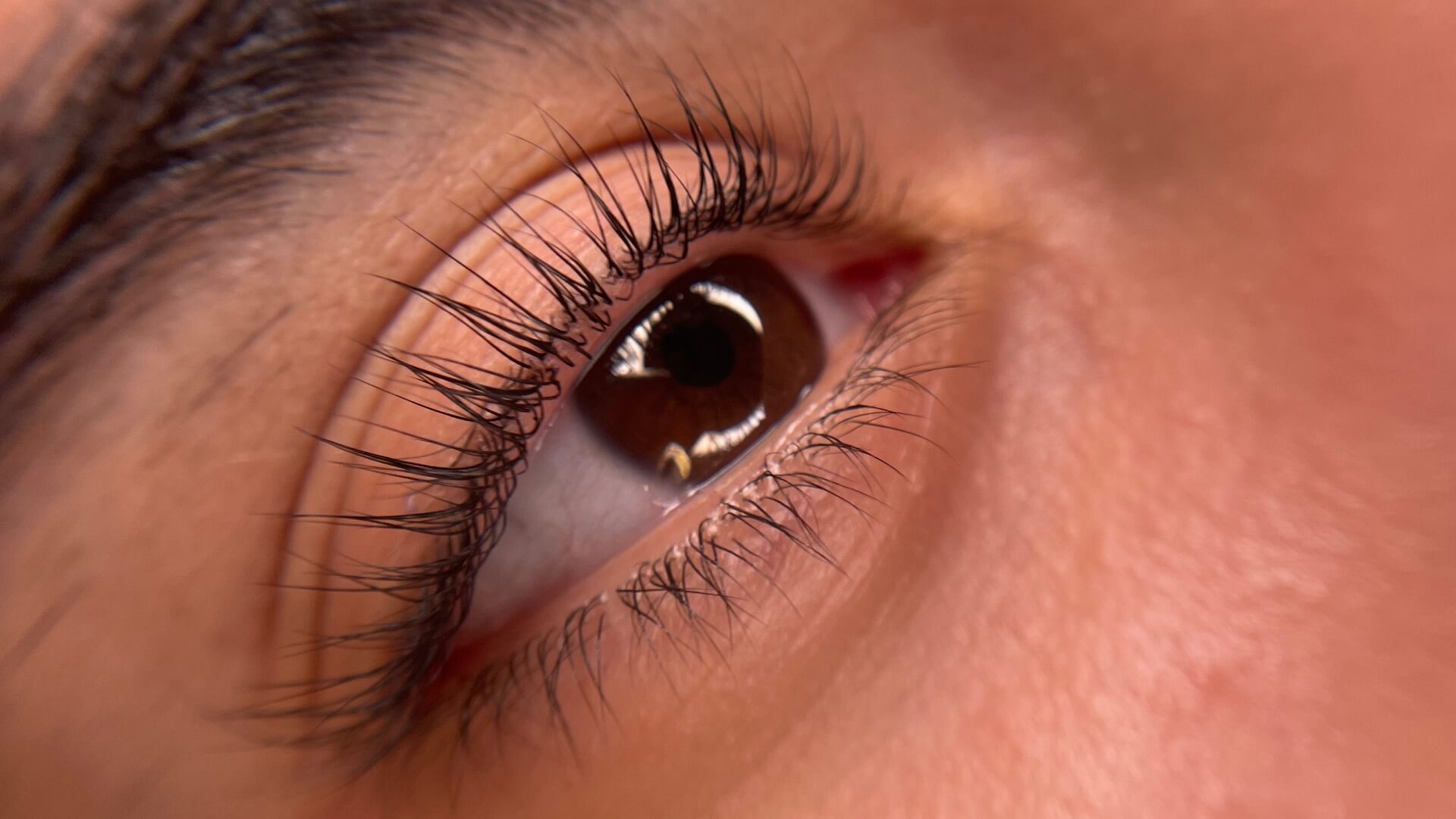  | הסטודיו של מאיה