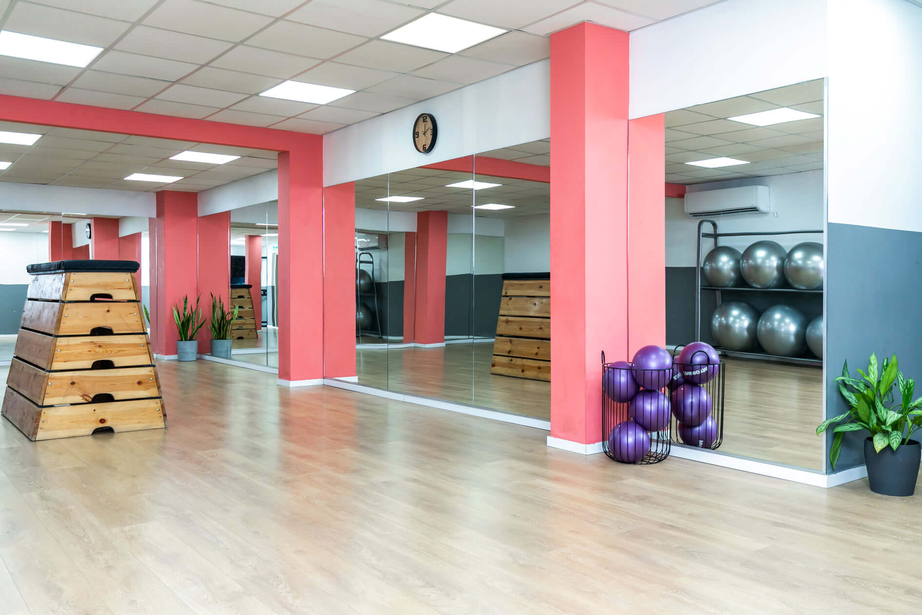 טלי בן רובי