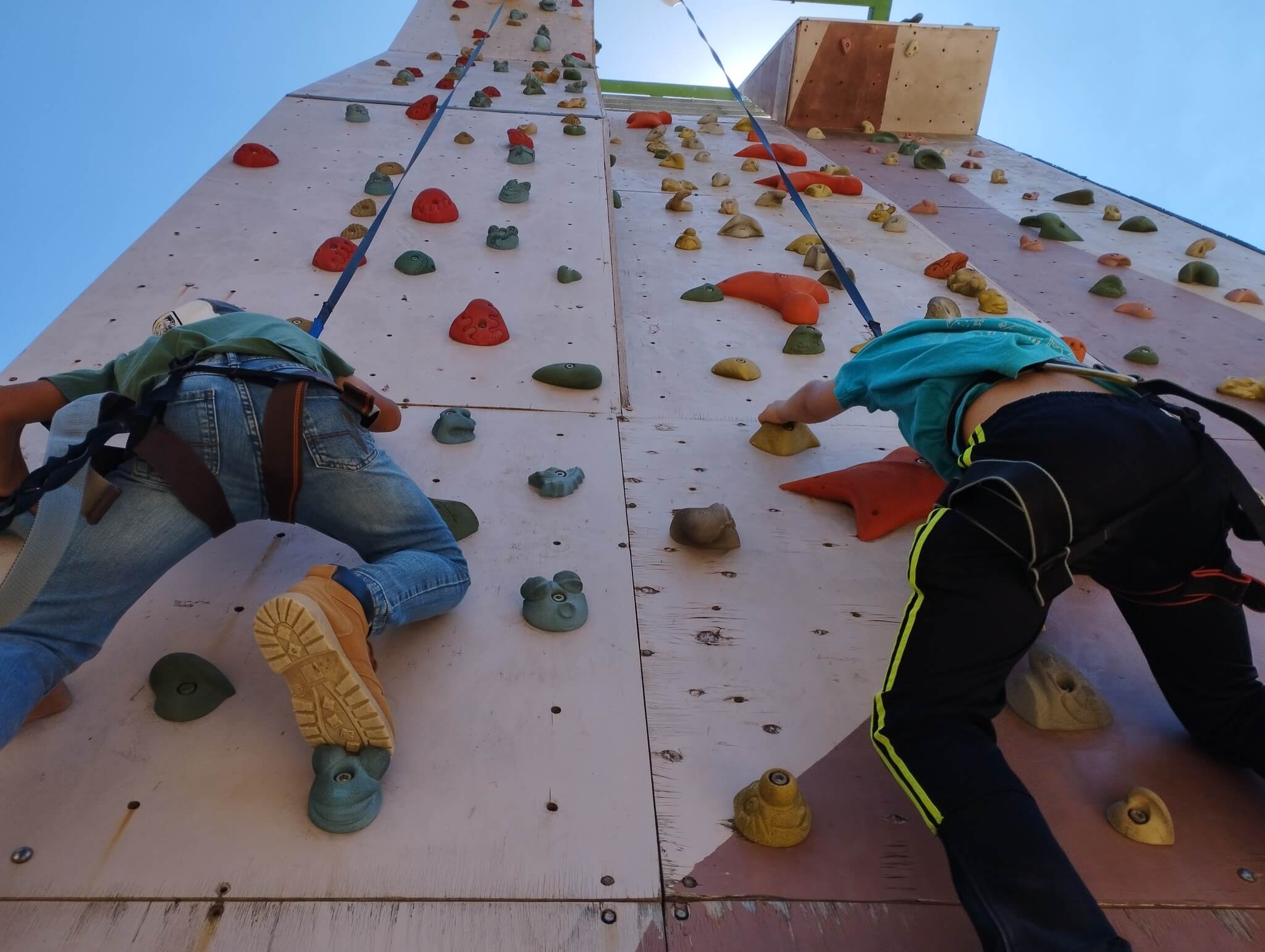 חוות קדומים