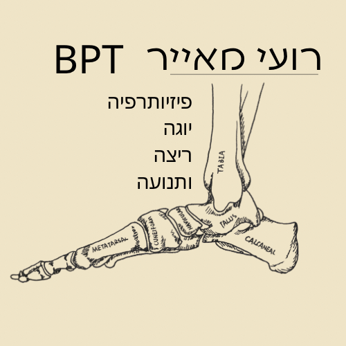 רועי מאייר - פיזיותרפיה, יוגה, ריצה ותנועה | lee
