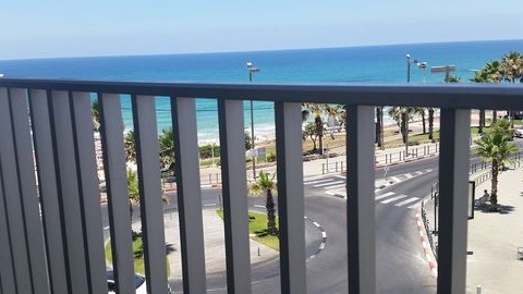 אילנה בושרי 