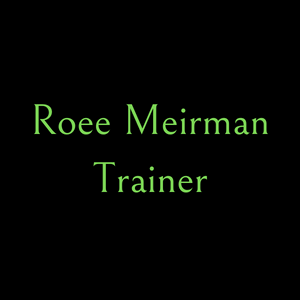 רועי מאירמן - Roey Meirman | lee