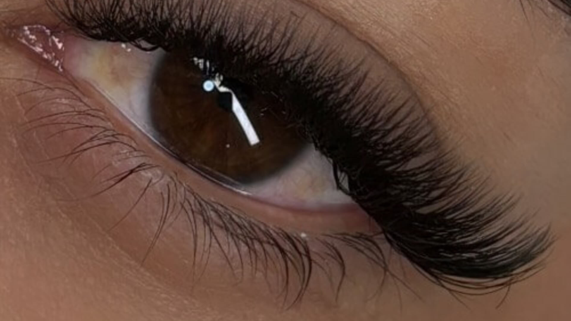 Rasha hazboun beauty