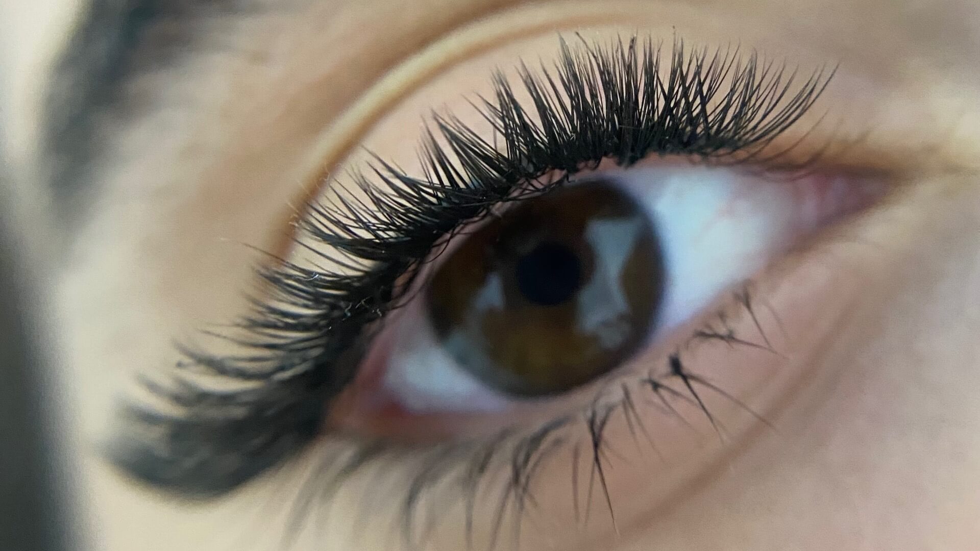 | קורל קקון