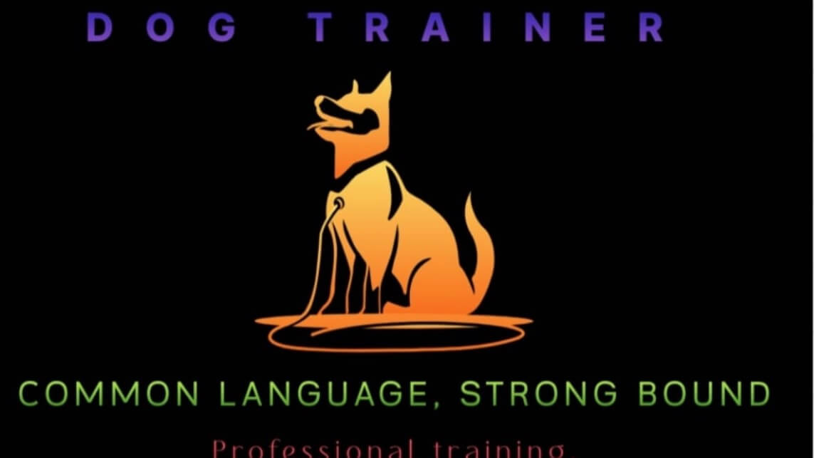 יקיר וייס אילוף כלבים