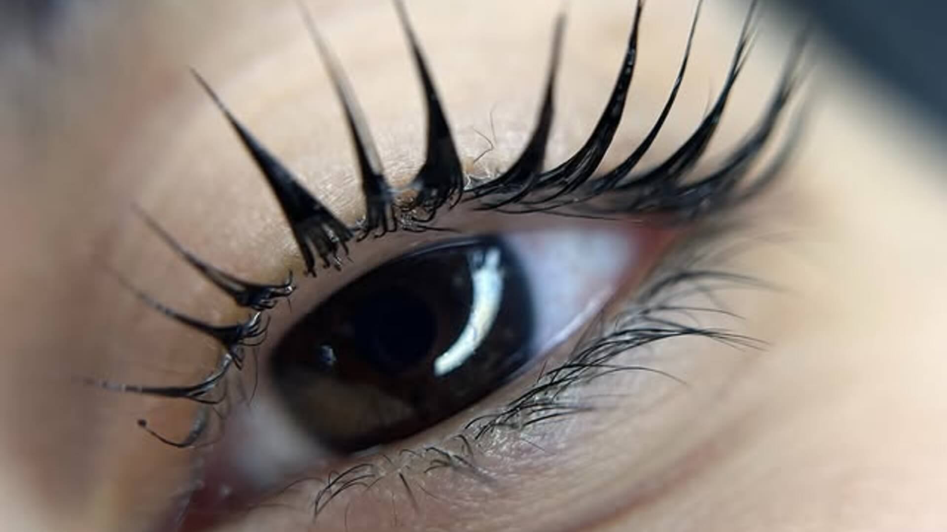  | אביטל סימן טוב