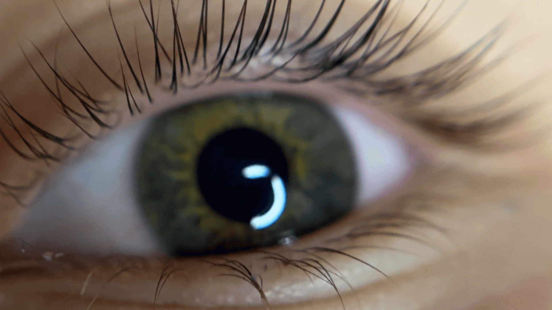 רותם גז עיצוב גבות וריסים