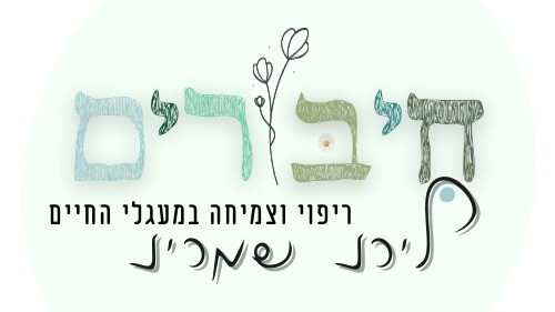 חיבורים- לירז שמריז