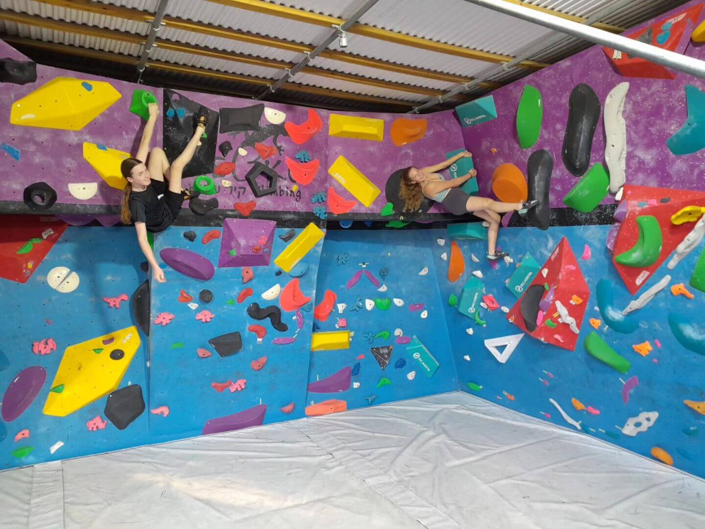 גקו קיר טיפוס