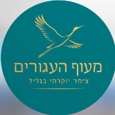 החולה האוס | lee