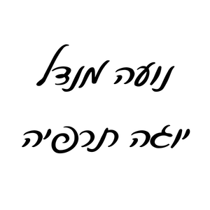 נועה מנדל | lee
