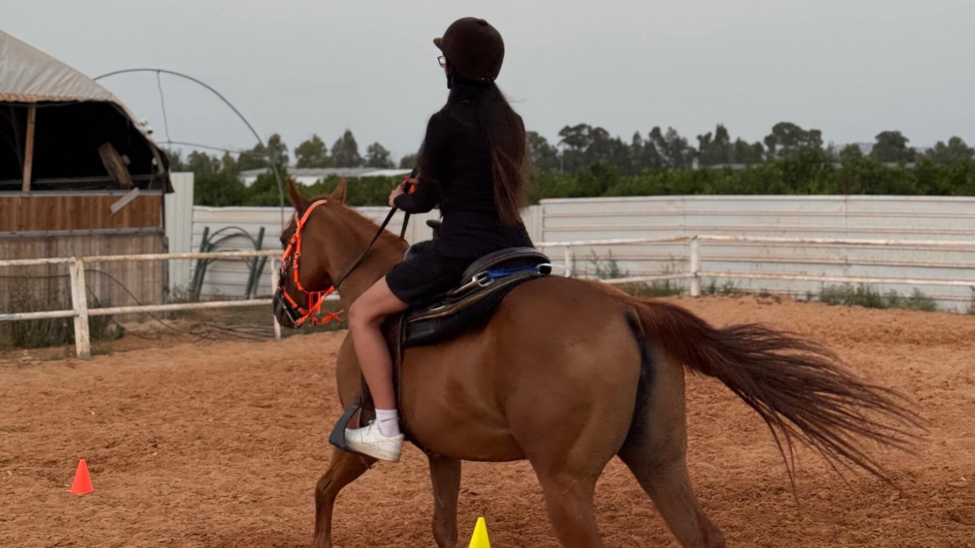 חוות קזבלנקה