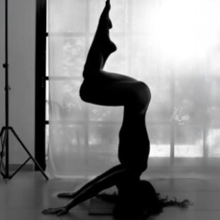 לירון פרלמן | lee