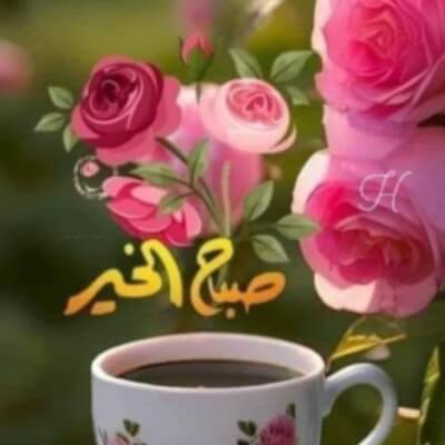 المعلول للشفاء طب بديل مساجات  | lee