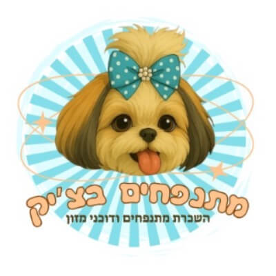 מתנפחים בצ׳יק | lee