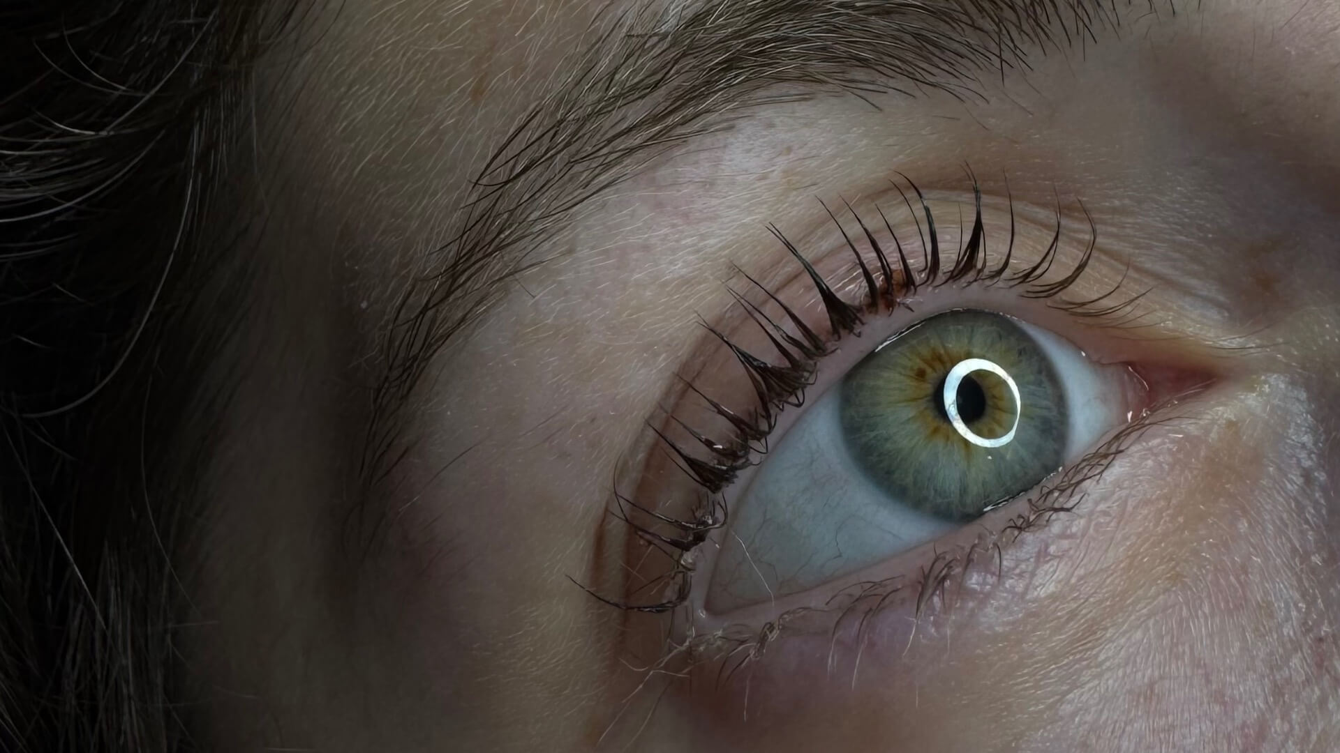  | Lior brows