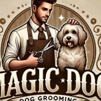 Magic Dog | lee