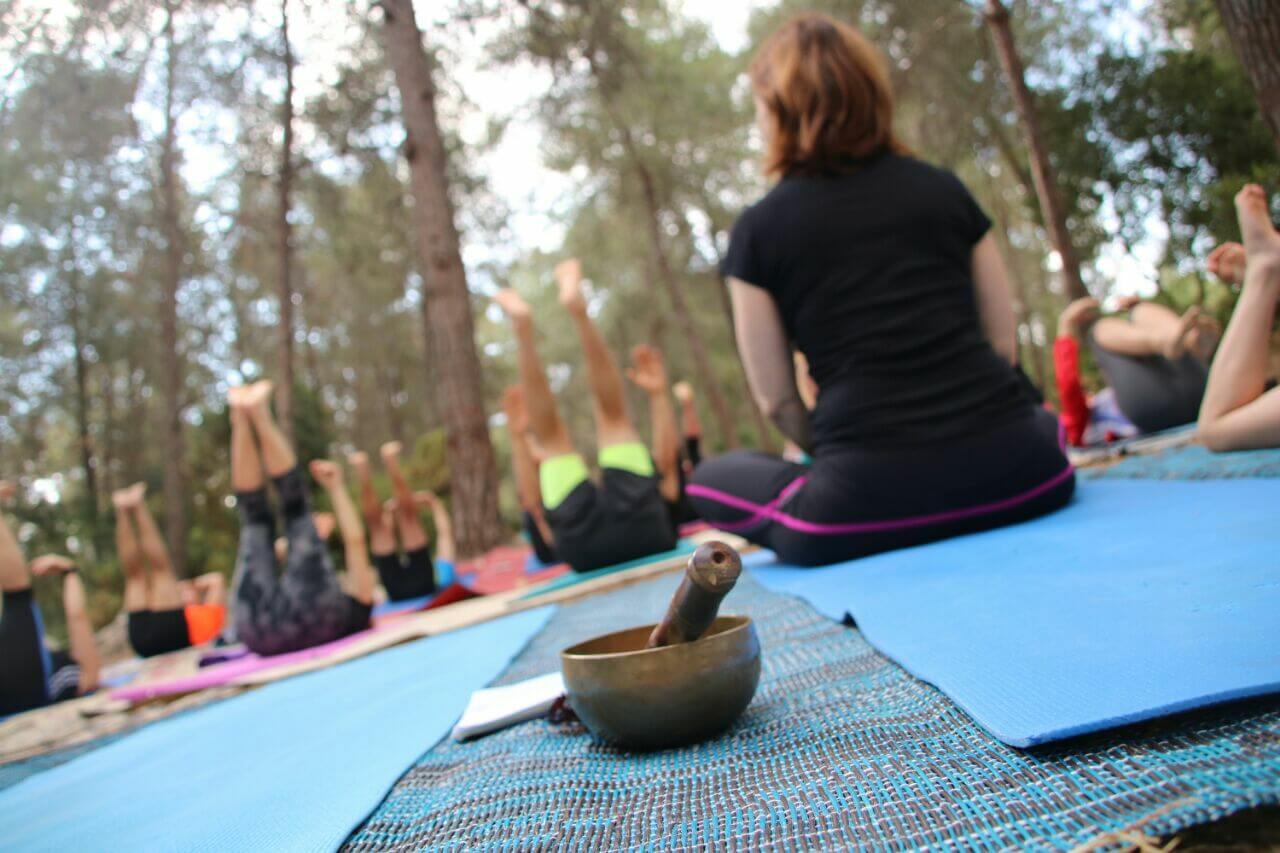 דפנה טרייבר 