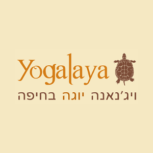 Yogalaya | lee