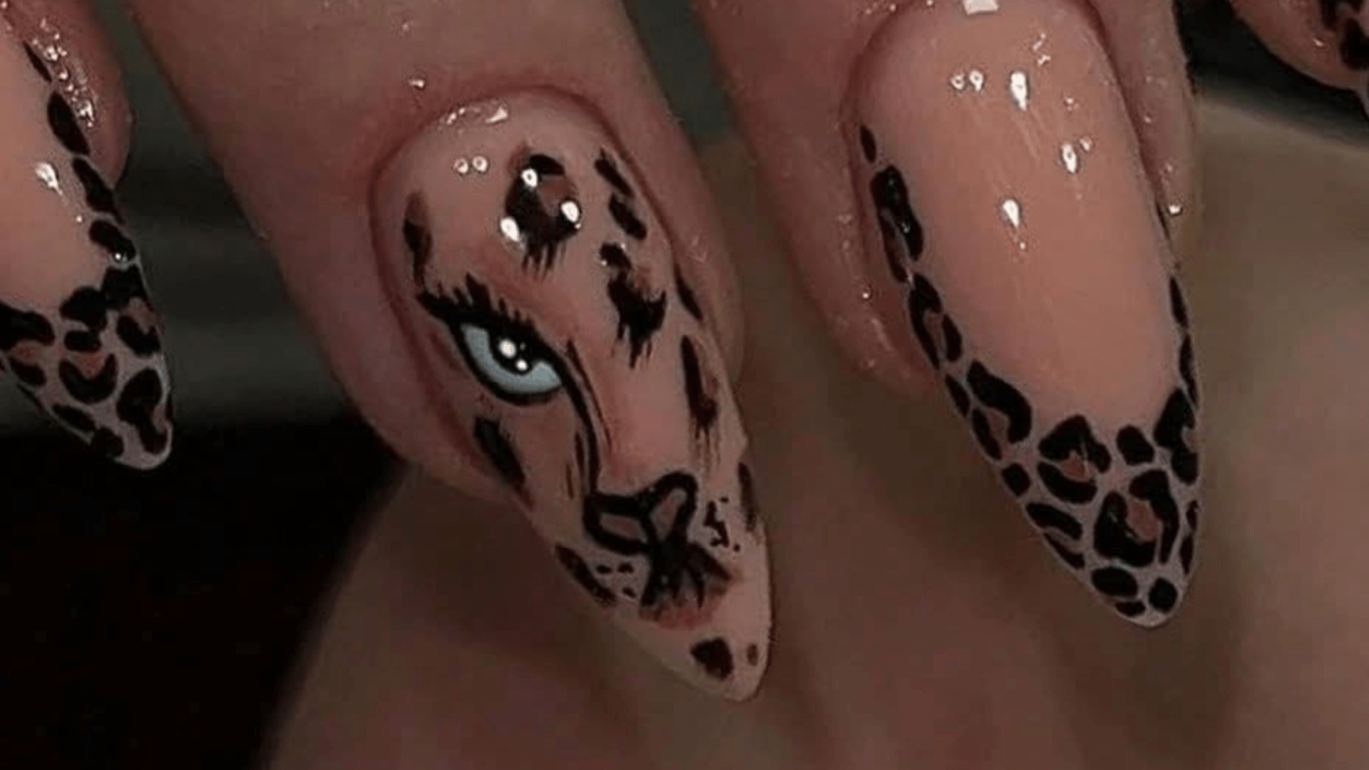  | נגיעה של יופי