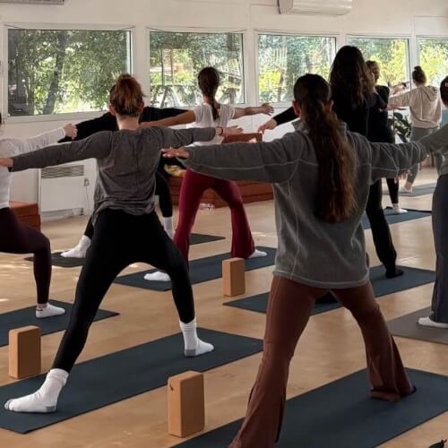 אומיקה omika | lee