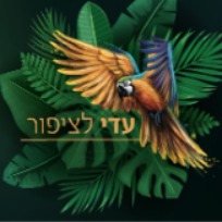 עדי לציפור | lee