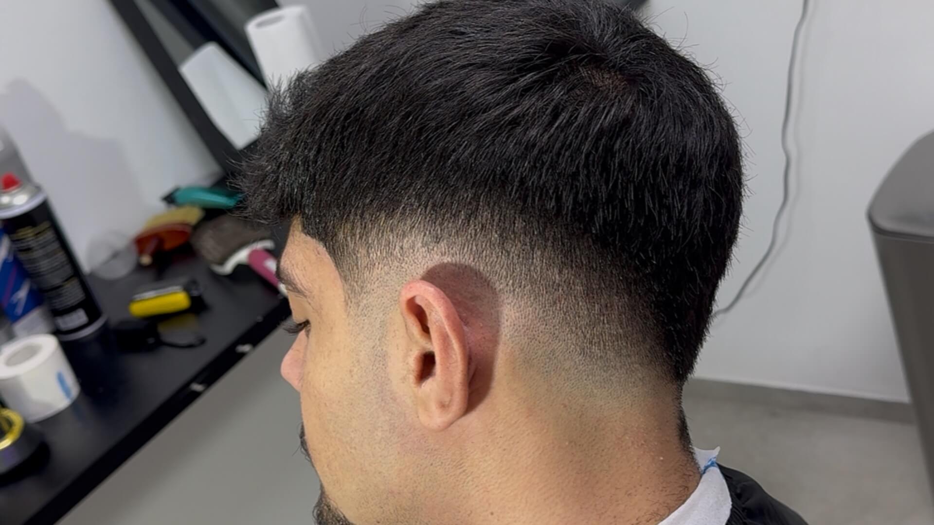 ארז תלמי מספרה 