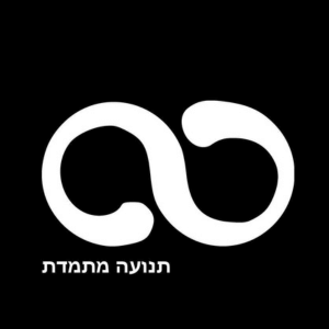 תנועה מתמדת  | lee