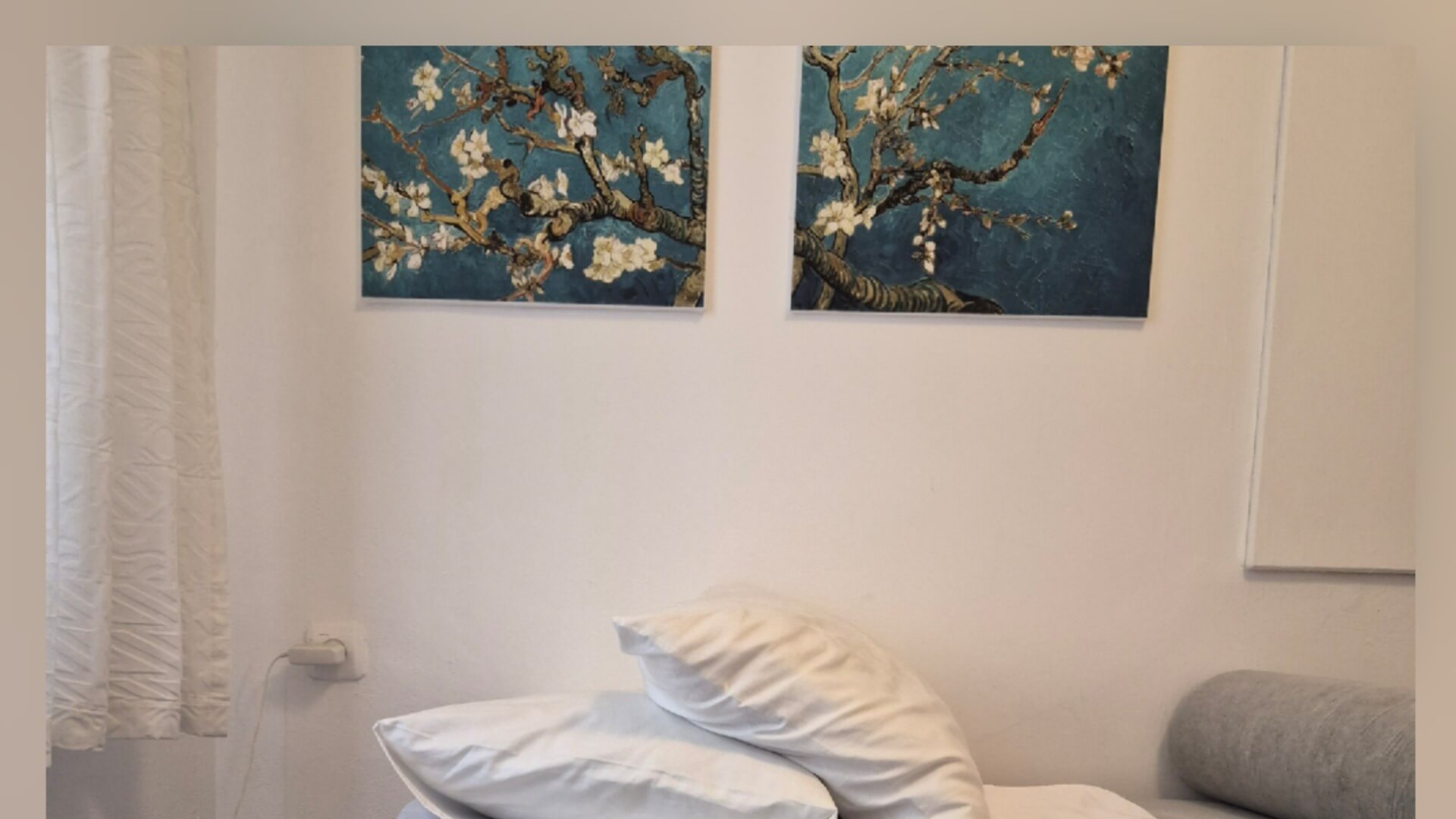 כנרת עדס - רפואה סינית