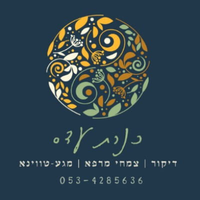 כנרת עדס - רפואה סינית | lee