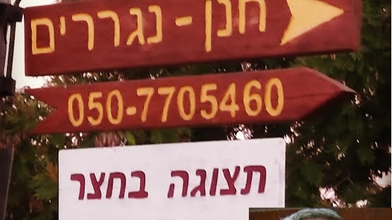 ליידן חנן