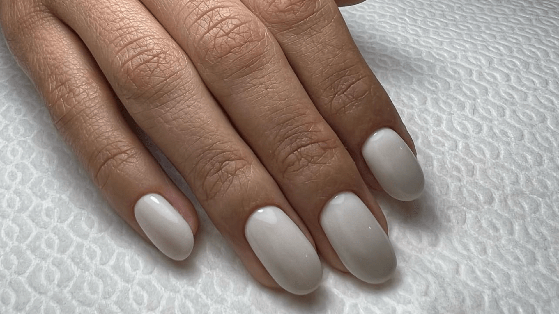  | לירז קוסמטיקס