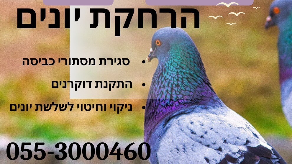 הרחקת יונים