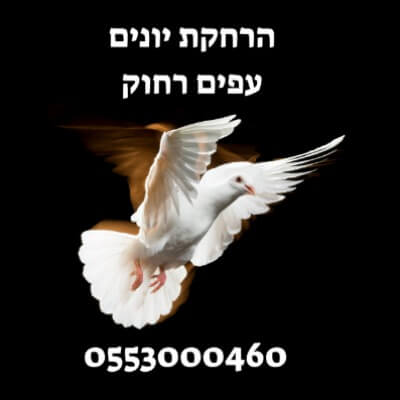 הרחקת יונים | lee