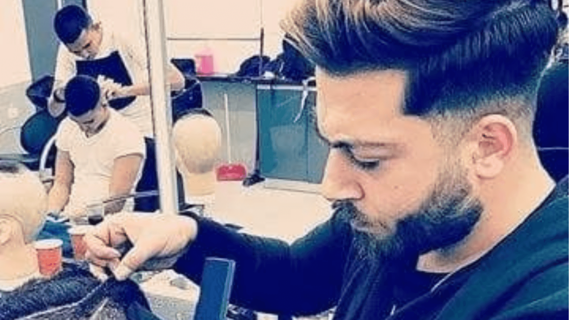 חיים מלכה אקדמיה