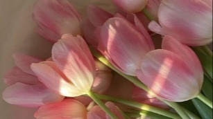 עבודת בית ספר