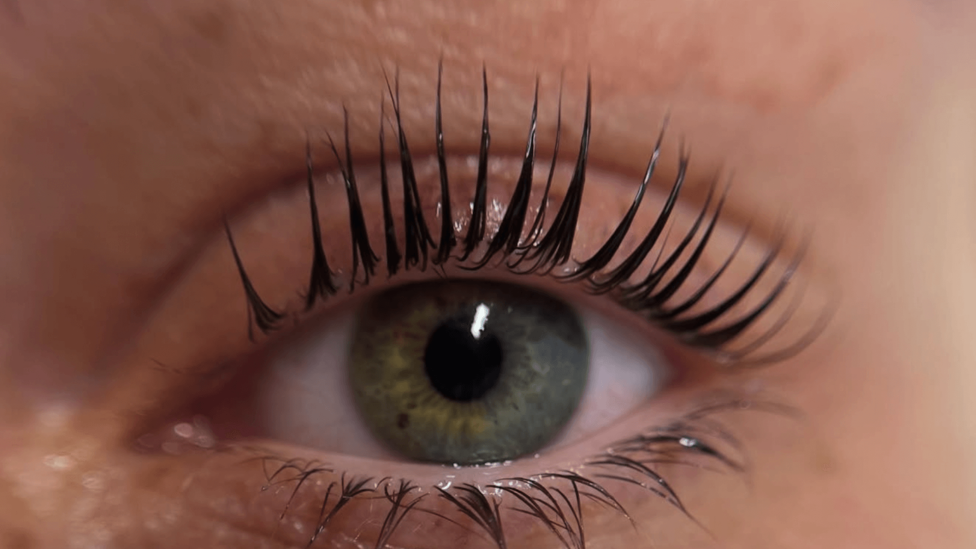 אביטל קוסמטיק ירושלים