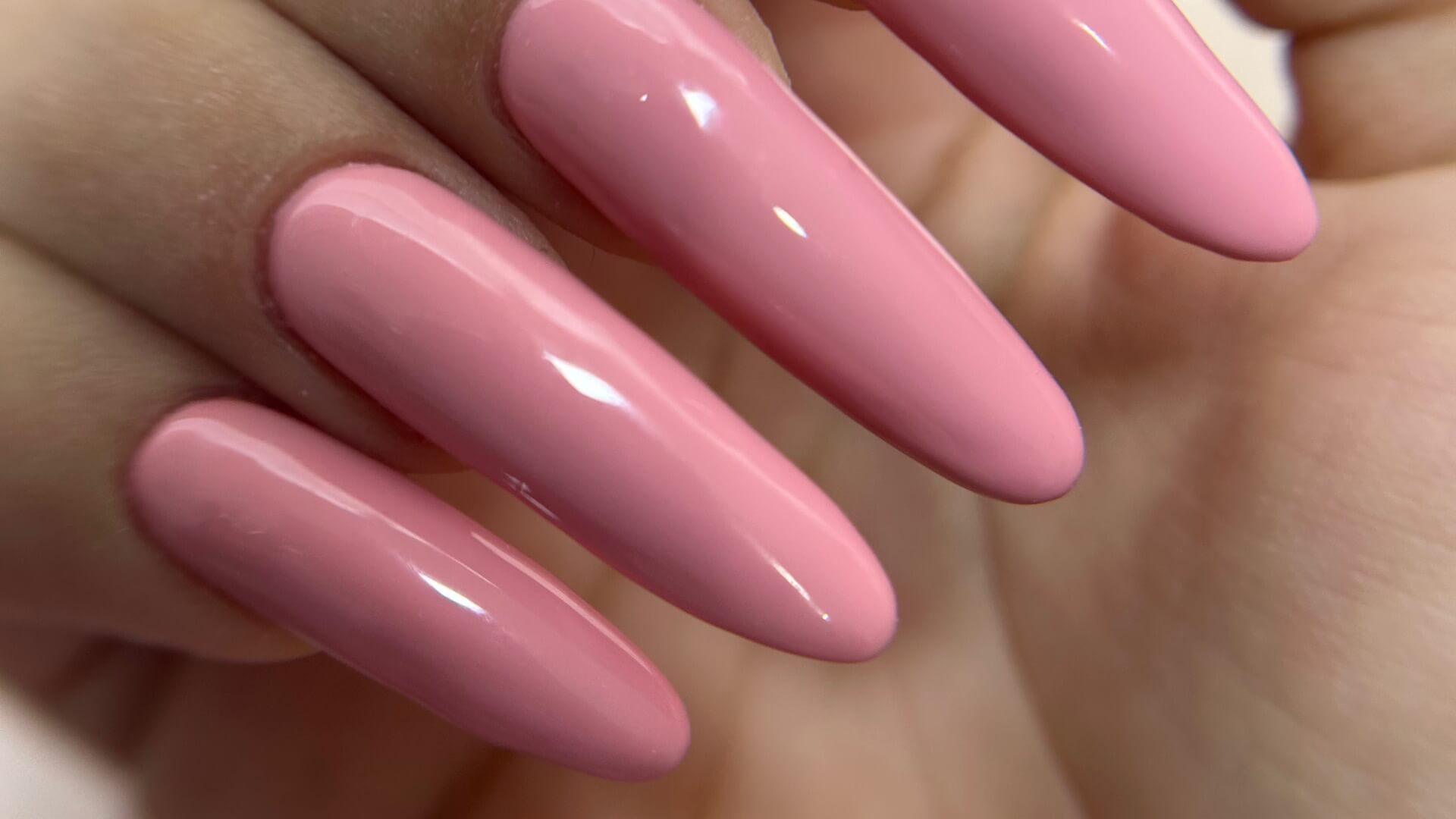 Liz asis beauty studio 