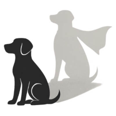 כלב על - כלבנות טיפולית | lee