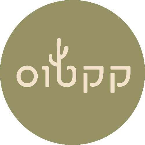 קקטוס יוגה | lee