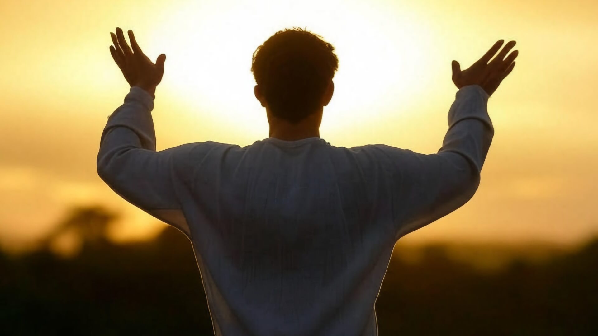 מפטל צמוד Vip