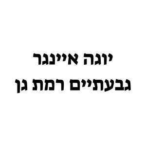 יוגה איינגר | lee