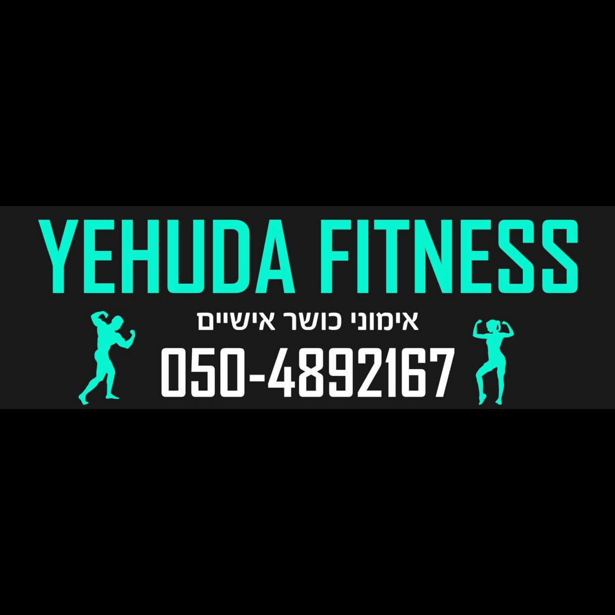 יהודה פיטנס  | lee