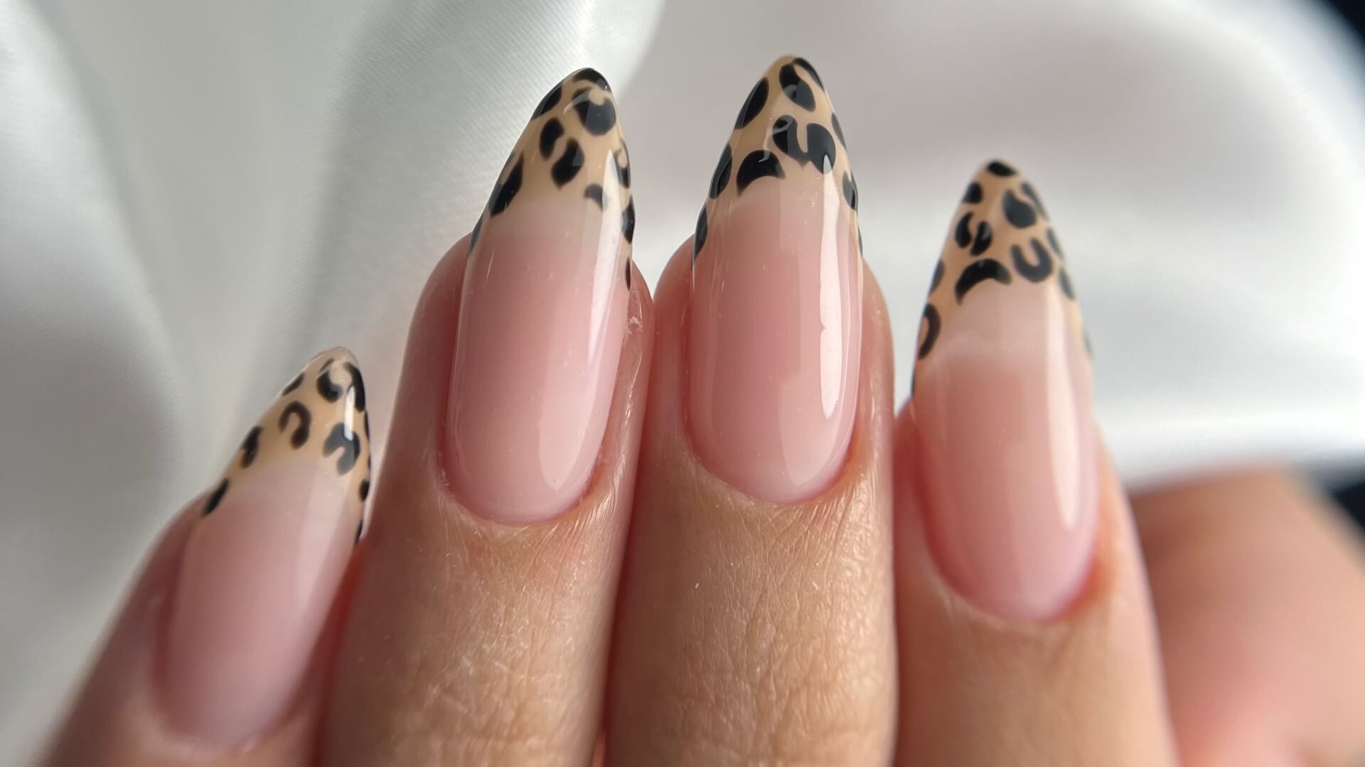 מגע של יופי