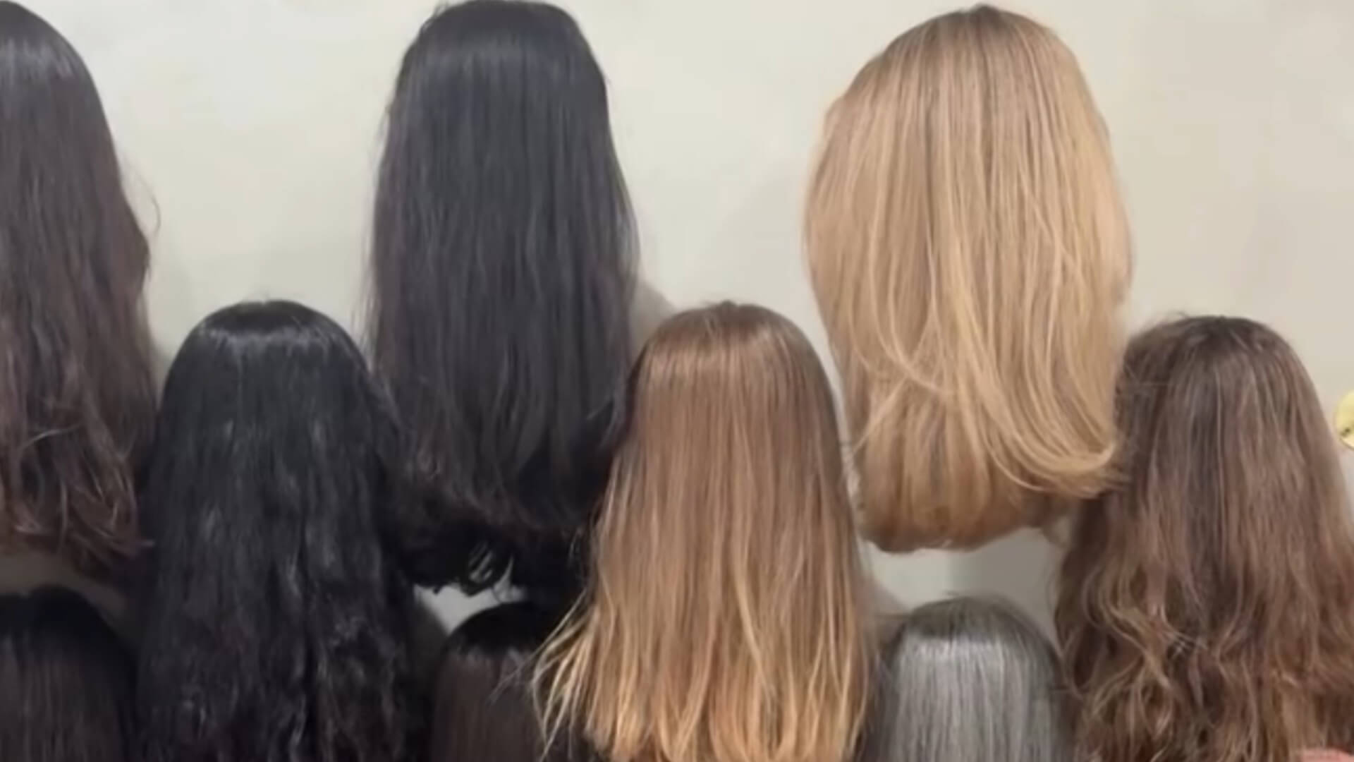 גלריית פאות ופתרונות לשיער דליל