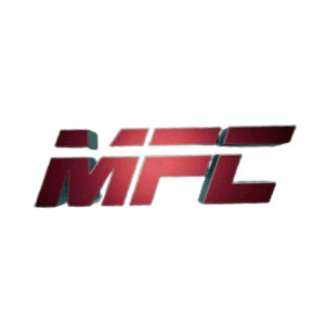 Mix Fight Combat  | lee