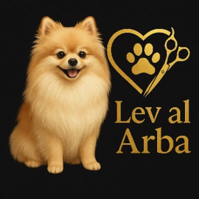 לב על ארבע | lee