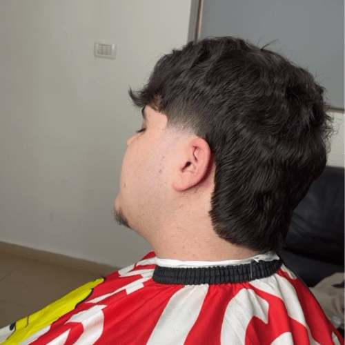 Peretz barbershop   | lee