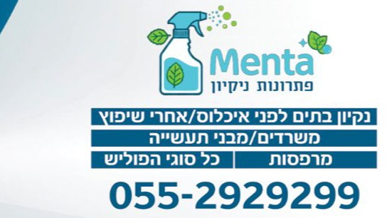 מנטה פתרונות ניקיון