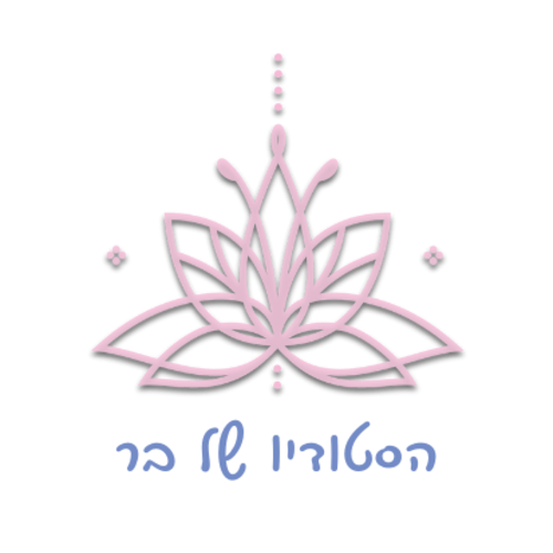 הסטודיו של בר | lee